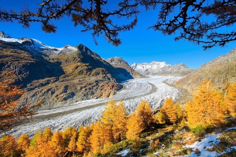 Great Aletsch Glacier and Wannenhorns