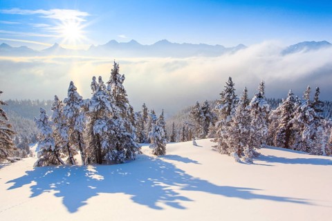 Bernese Alps