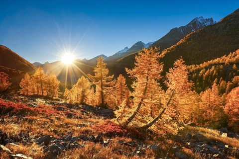 Fafleralp in the Loetschental