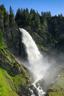 Staeubifall