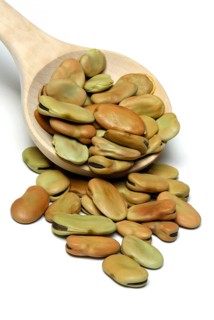 Dried fava beans
