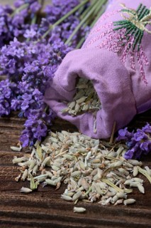 Lavender