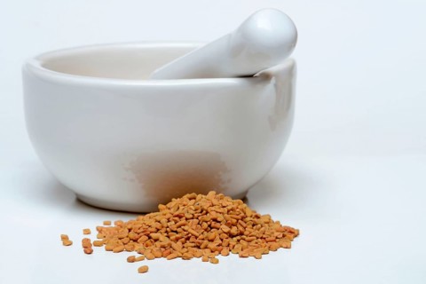 Fenugreek