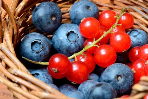 Currants and blueberries in basket