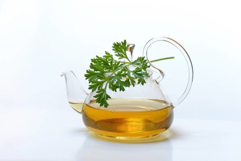 Wormwood tea in teapot and wormwood herb