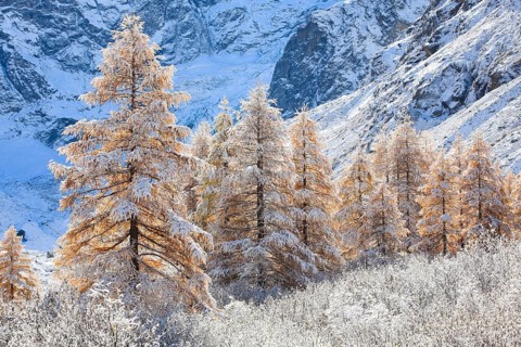 Arolla Valley