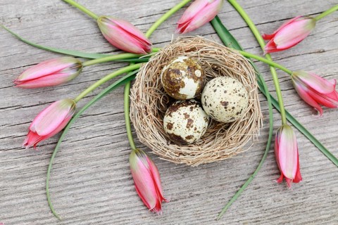 Natural Easter Decoration