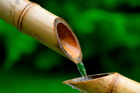 Japanese bamboo fountain