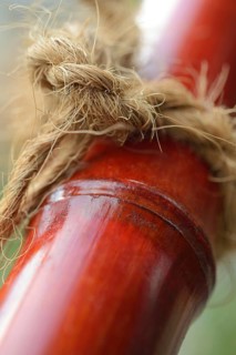 Knots on bamboo cane