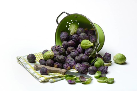 Purple and green Brussels sprouts in sieve