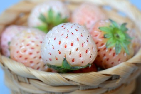 White strawberries in basket