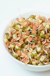 Mixed sprouts of lentils