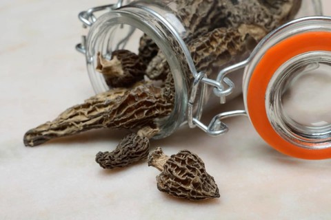 Dried morels