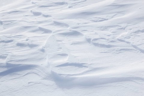 Snow detail
