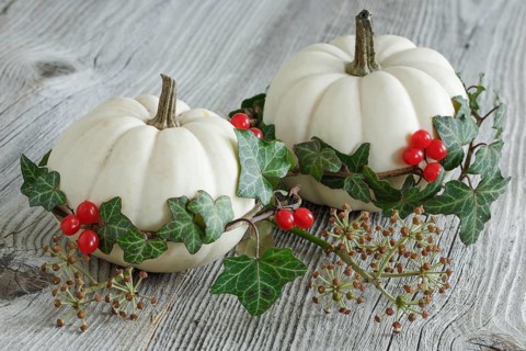 Autumnal decoration