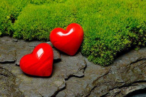 Hearts on moss cushion
