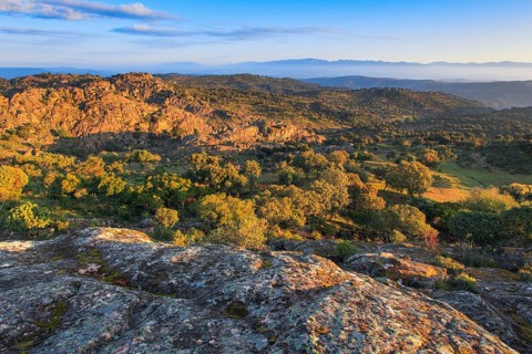 Typical landscape in the Sierra de Andujar National Park