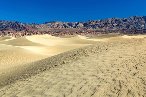 Mesquite Flats Sand Dunes