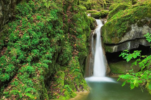 Twannbach Gorge