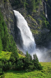 Staeubifall