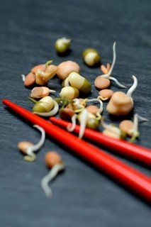 Mixed sprouts of lentils