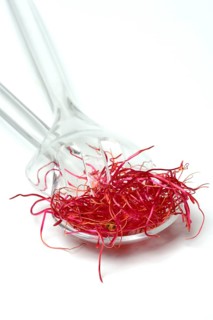 Beetroot sprouts