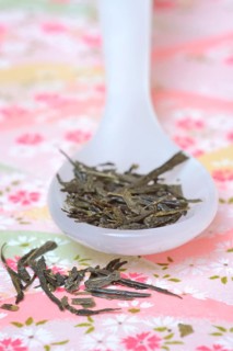 Sencha tea