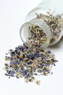 Tea mixture from dried Common daisy