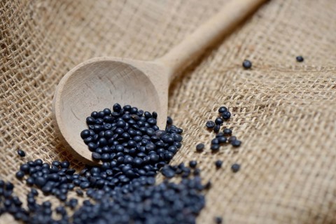 Beluga lentils in cooking spoon