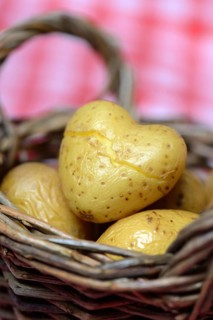 Boiled potato in basket