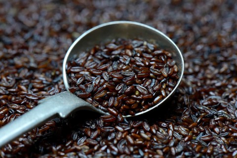 Psyllium