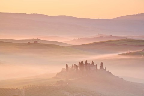 Hilly landscape with cornfields and cypresses