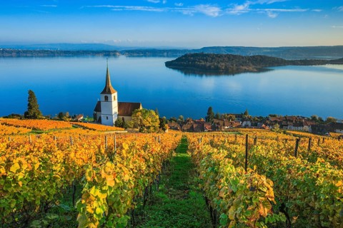 Ligerz on Lake Biel