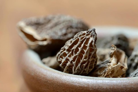 Dried morels in shell