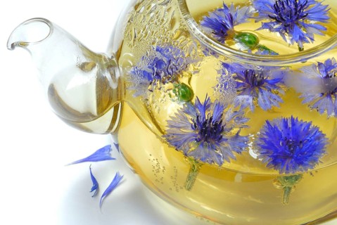 Cornflowerstea