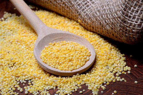 Real millet