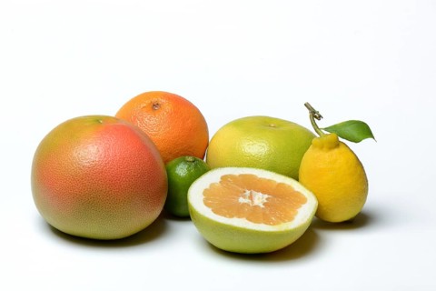 Various citrus fruits