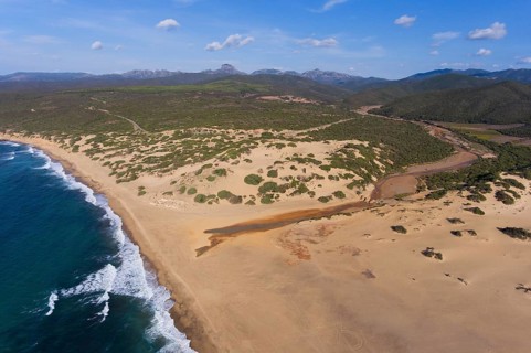 Sand dunes Dune di Piscinas