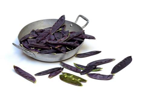 Violet pods