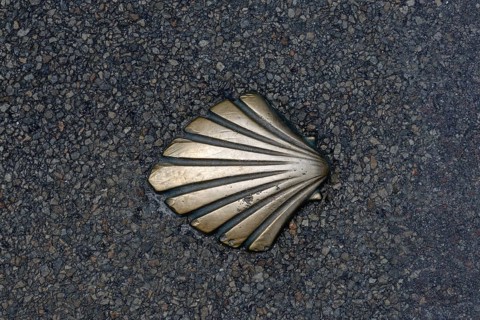Scallop in asphalt
