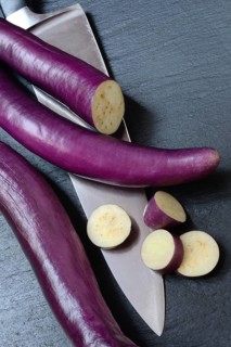 Japanese eggplant with knife