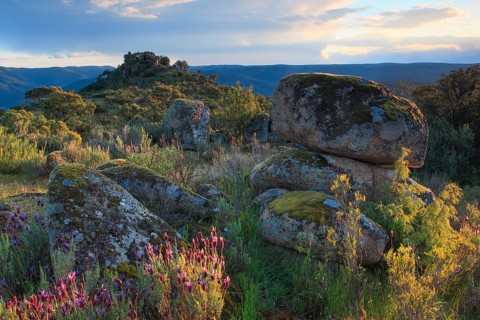 Typical landscape in the Sierra de Andujar National Park