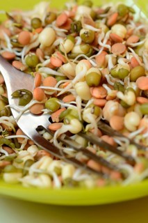 Mixed sprouts of lentils