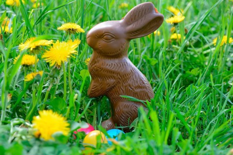 Chocolate Easter bunny and Easter eggs
