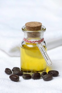 Jojobaoil and seeds