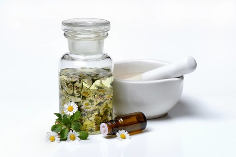 Daisy blossoms and daisy tincture