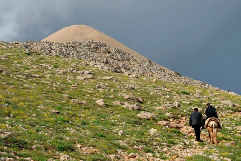 Nemrud