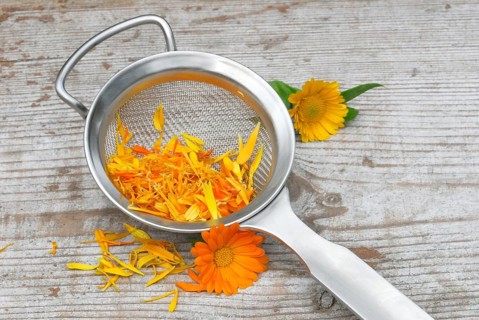 MarigoldsPetals in tea strainer