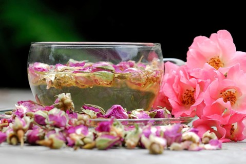 Rose tea in cup and rose buds