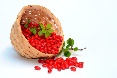 Barberry berries
